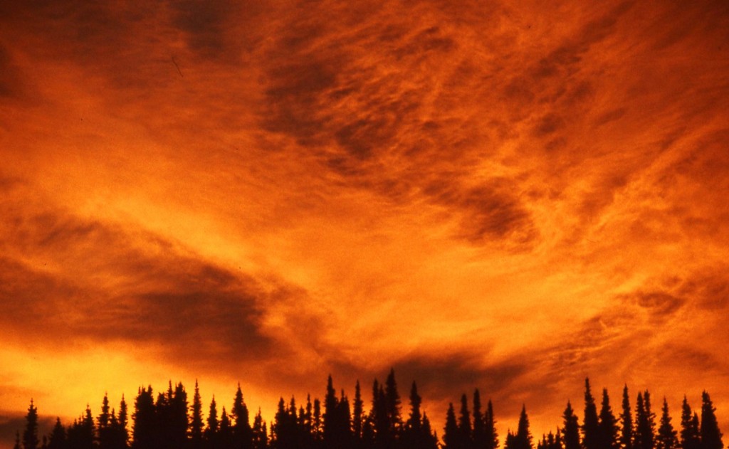 Sunset over Banff National Park.jpg copyright-nomadic-thoughts-worldwide-travel
