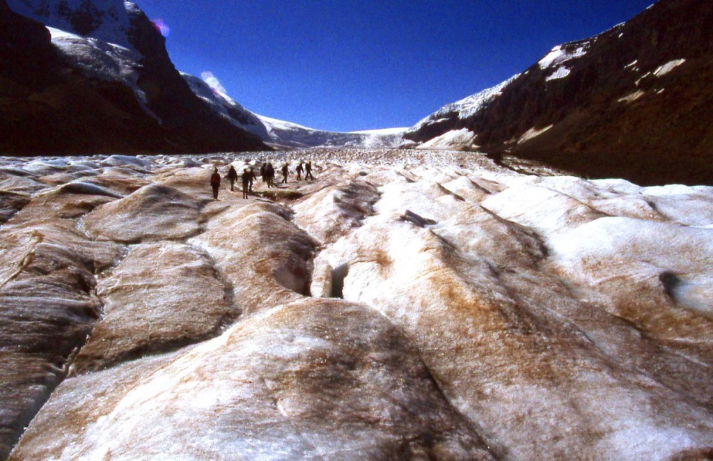 Walking the 300m thick Athabasca Glacier, Columbia Icefield.