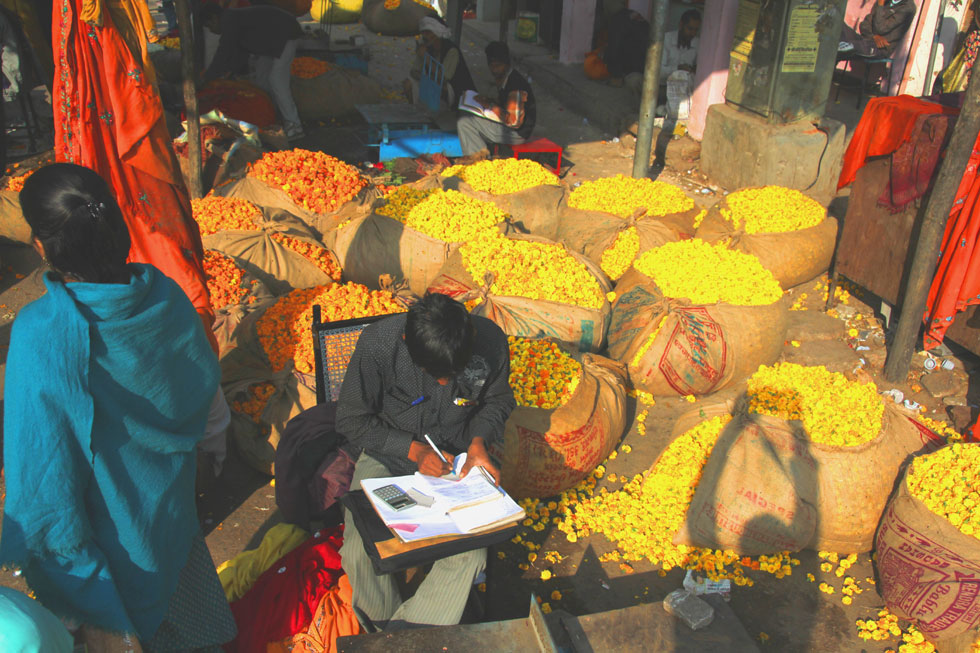 Jaipur-flower-dealer-copyri