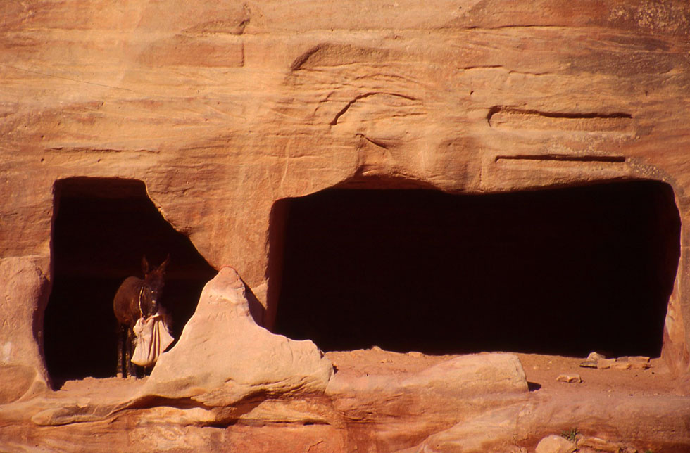 Cool in a cave - Petra