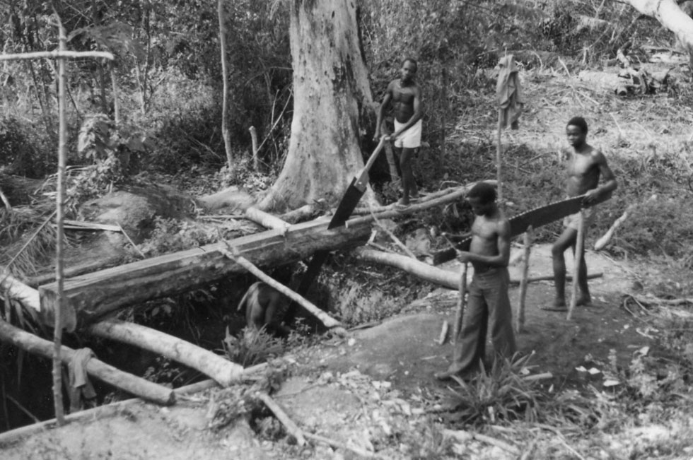 Rain-forest timber crew, Eastern Zaire 1983