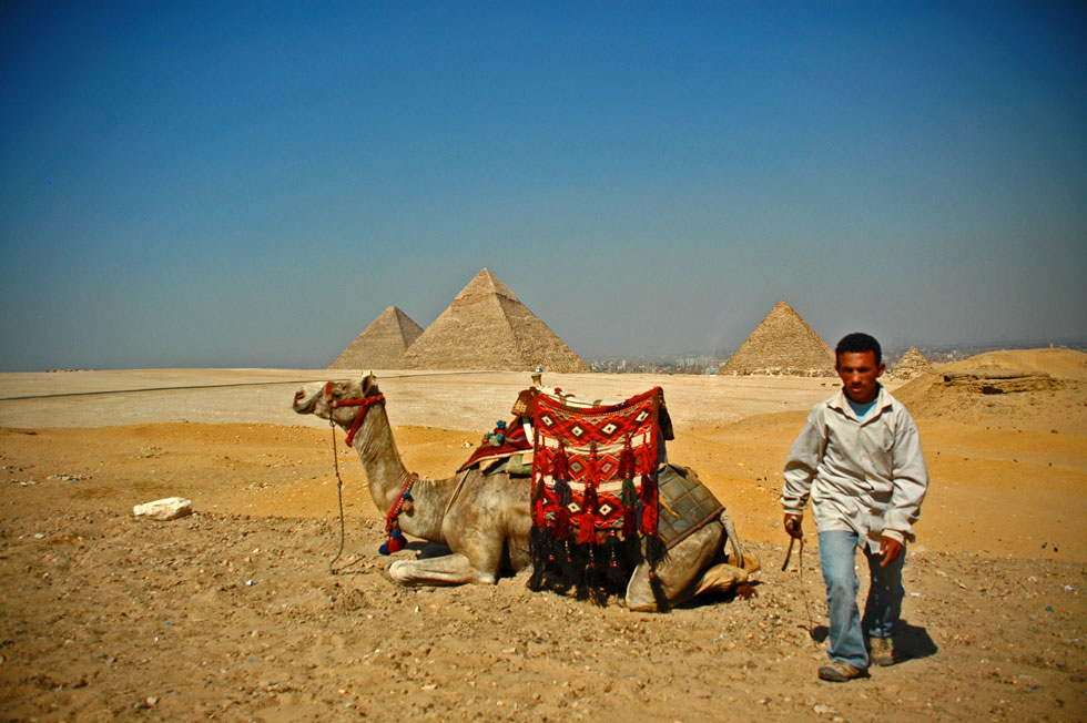Egyptian tourist number down